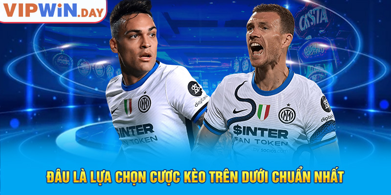 Đâu là lựa chọn cược kèo trên dưới chuẩn nhất Đâu là lựa chọn cược kèo trên dưới chuẩn nhất